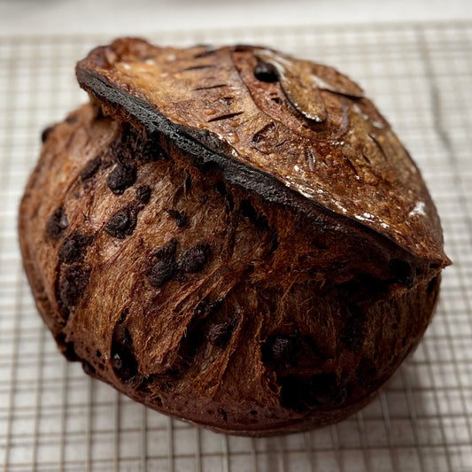 Double Chocolate Sourdough Loaves