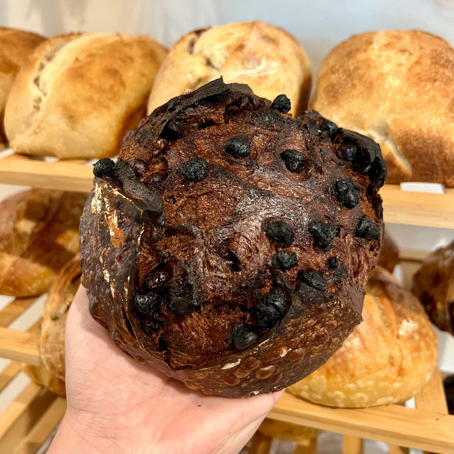 Double Chocolate Sourdough Loaves - Culture & Crust