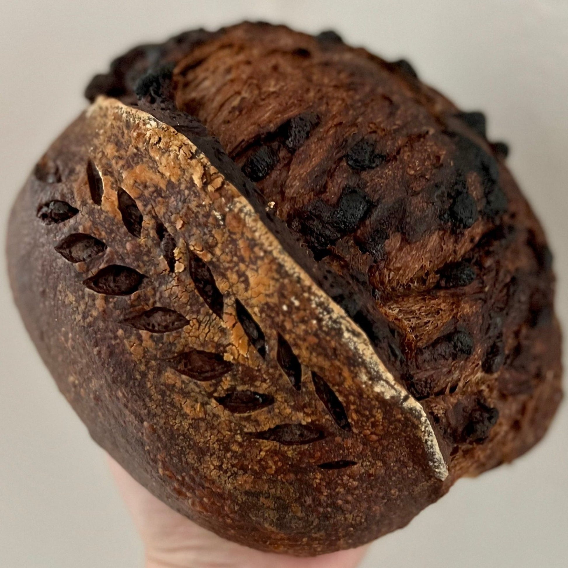 Double Chocolate Sourdough Loaves - Culture & Crust