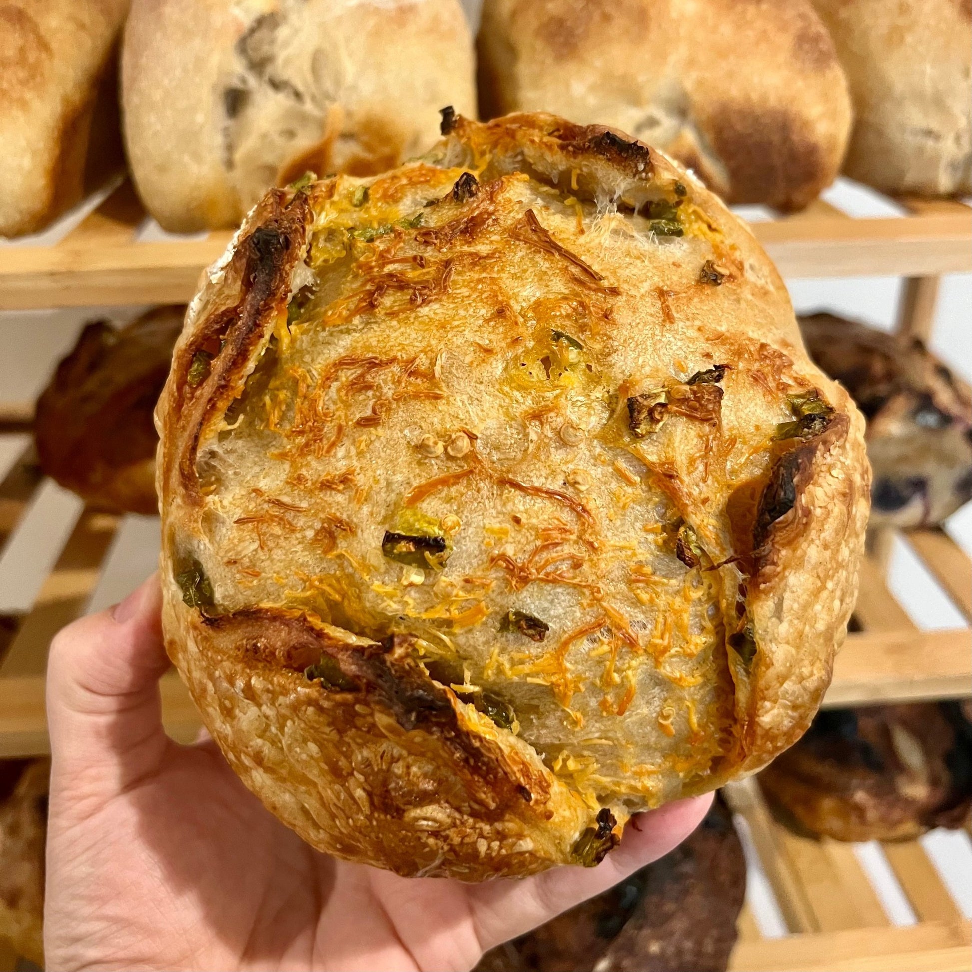 Jalapeno Cheddar Sourdough Loaves - Culture & Crust