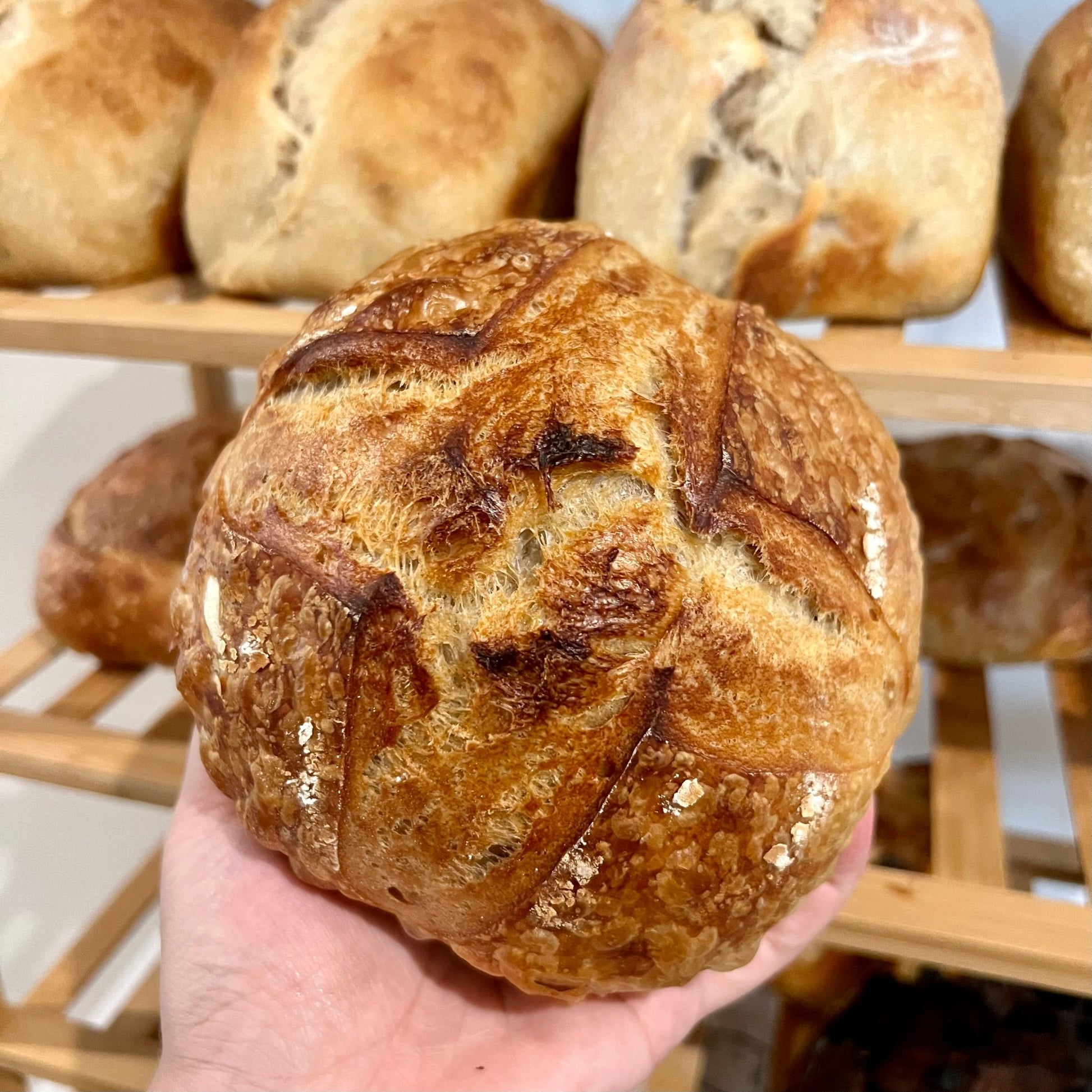 Plain Sourdough Loaves - Culture & Crust